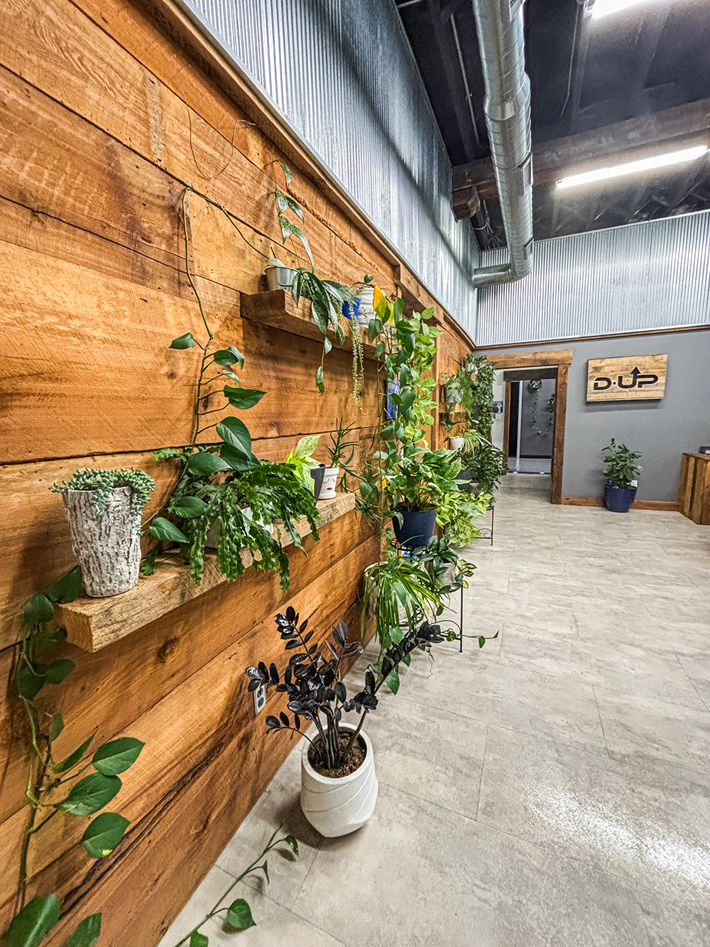 Plants in our front lobby
